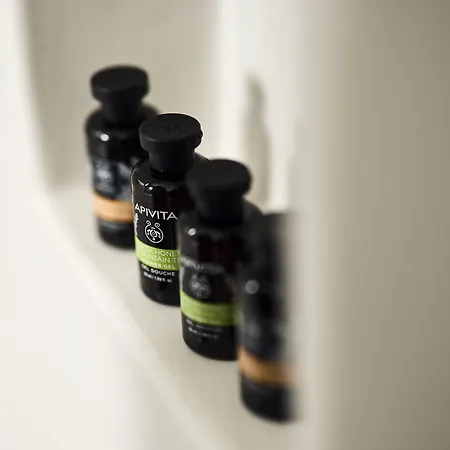 호텔 Nival Boutique 3*